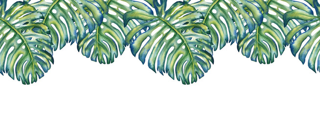 Watercolor hand drawn monstera leaves seamless border. Tropical foliage background. Jungle print for cards and invitations. exotic wallpaper © Olga Shulgina
