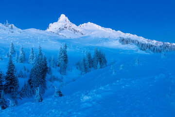Beautiful landscape of winter seasons with firs full of snow. Mount Ciucas in Romania.