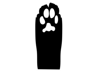 Black silhouetteRealistic cat paw pet cute. Hand drawing. Vector illustration .