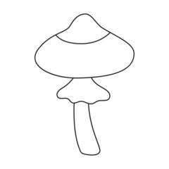 Amanita vector icon.Outline vector icon isolated on white background amanita.
