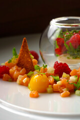 An appetizer at a gourmet restaurant, chef's salmon tartare with raspberries and egg yolk