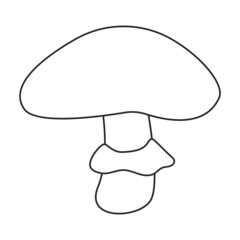 Amanita vector icon.Outline vector icon isolated on white background amanita.