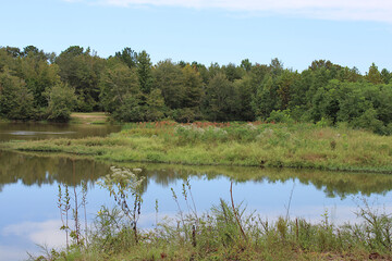 landscape reflection in the forest