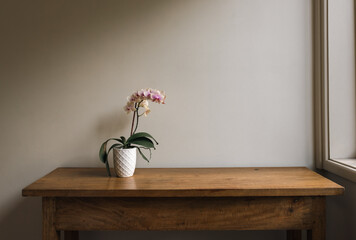 Phalaenopsis orchid in white pot on oak sidetable against beige wall next to window (filter effect...