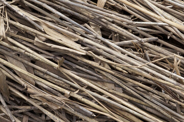Closeup view of dry cane stalks. Abstract natural texture or background. Diagonal direction