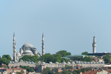 Fototapeta na wymiar Istanbul rooftops with the great blue mosque surrounded by trees