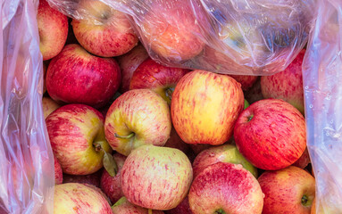Crate closeup with ripe apples.
