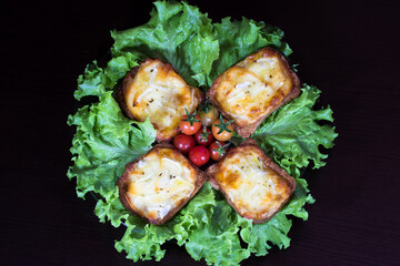Toast with melted cheese and onion, oregano, lettuce and cherry tomato.