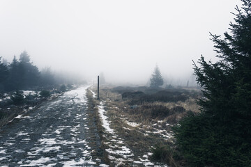 Karge Brockenlandschaft im Nebel