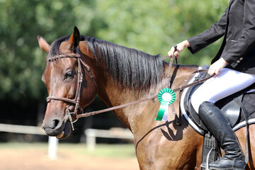 Fototapeta premium Horse jumping contest. Equestrian sports. Horsegirl sitting in saddle