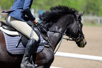 Fotobehang Horse jumping contest. Equestrian sports. Horsegirl sitting in saddle © acceptfoto