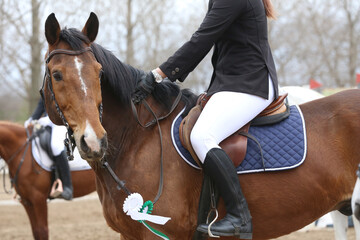 Horse jumping contest. Equestrian sports. Horsegirl sitting in saddle - obrazy, fototapety, plakaty