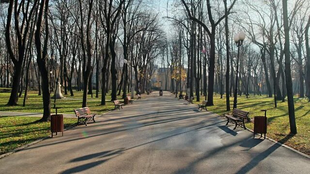 View of Copou Park in Iasi, Romania. Benches, alley, bare trees, green grass, people
