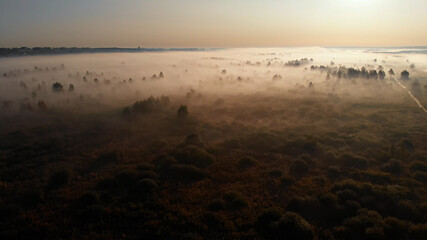 Epic aerial view of sunrise fog covering field with trees.
