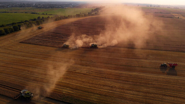 Aerial shot: few combines harvest wheat at sunset