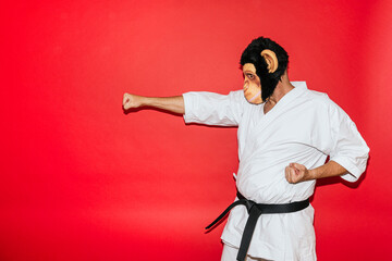 Man with monkey mask practicing martial arts.