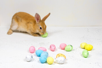 Redhead bunny with colorful eastereggs on white background. Place for an inscription.