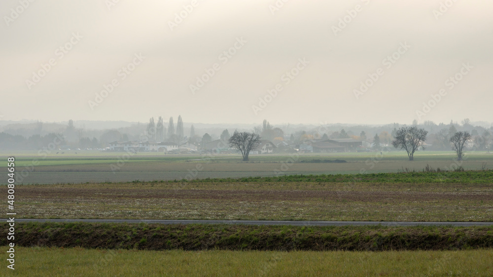 Wall mural paysage campagnard