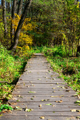 Wooden footbridge through the forest. The trail of pedestrians made of boards is adventurous and informative. Selective focus.