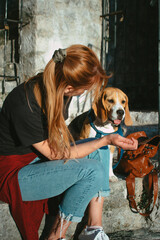 Ginger girl with a beagle puppy. 