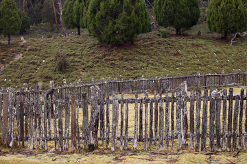 View of old weathered picket fence