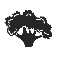 Cauliflower vector icon.Black vector icon isolated on white background cauliflower.