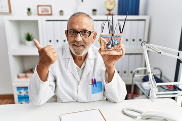 Mature doctor man holding model of human anatomical skin and hair smiling happy and positive, thumb up doing excellent and approval sign