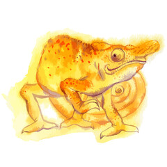 Vector watercolor illustration of chameleon.