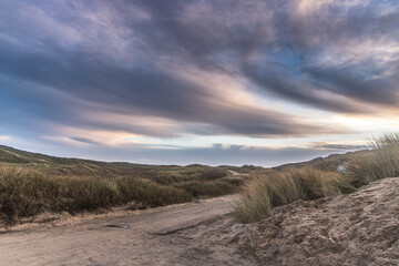 Sunset in the dunes, dutch landscape