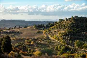 Fototapeta premium Panoramic view on hills of Val d'Orcia near Pienza, Tuscany, Italy. Tuscan landscape with cypress trees, vineyards, forests and ploughed fields in autumn.