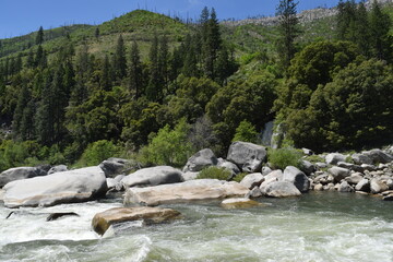 Plumas National Forest