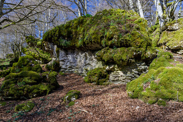 Arno Labyrinth in Entzia mountain range, Basque Country, Spain.