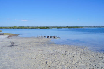 Clear beach water of Gulf of Mexico