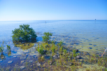 Alfred A McKethan Pine Island Park in Hernando County of Florida