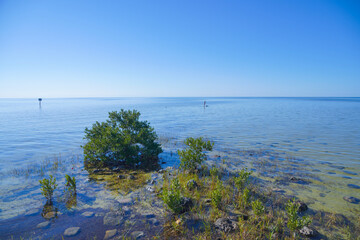 Alfred A McKethan Pine Island Park beach in Hernando county Florida