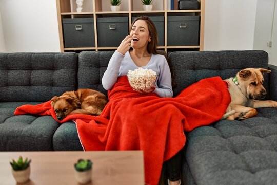 Young hispanic woman watching movie sitting on sofa with dogs at home