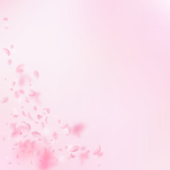 Sakura petals falling down. Romantic pink flowers corner. Flying petals on pink square background. Love, romance concept. Unusual wedding invitation.