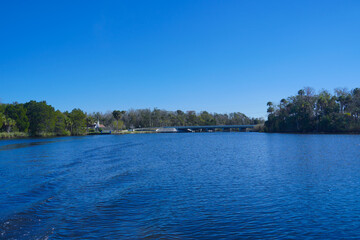 beautiful tree, house along homossasa river in winter. 