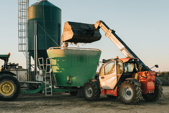 A Tractor Tipping Cow Feed With Its Shovel