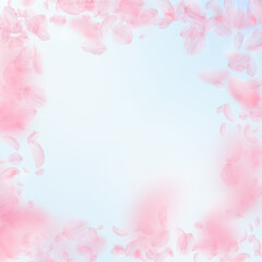 Sakura petals falling down. Romantic pink flowers frame. Flying petals on blue sky square background. Love, romance concept. Neat wedding invitation.