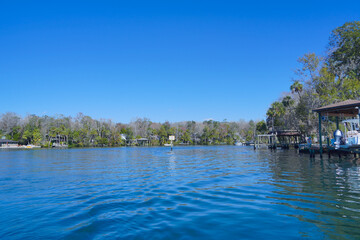 Obraz premium beautiful tree, house along homossasa river in winter. 