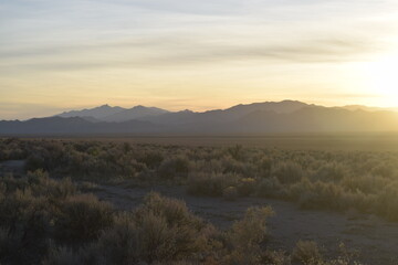 Naklejka na ściany i meble Nevada Desert