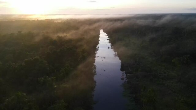 Scenic sunrise at amazon tropical rainforest with vivid fog at the river and parrots flying around
