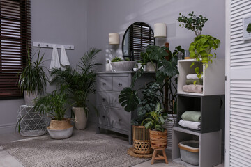 Stylish bathroom interior with modern furniture and beautiful green houseplants