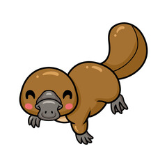 Cute baby platypus cartoon posing