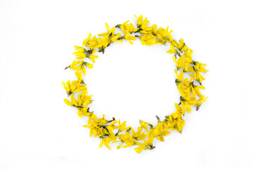 Round frame lined with made of petals and buds of Forsythia, Easter tree yellow flowers on white. Flat lay, top view. Valentine's background. Greeting card mockup