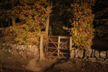 Gateway In woodland