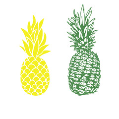 Illustration of yellow and green pineapple isolated on white background.