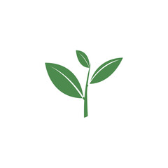 Illustration of green tea leaf isolated on white background.