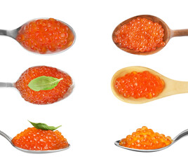 Set with delicious red caviar on white background